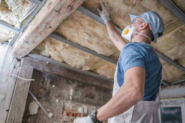 Best Wall Insulation Installation  in Rockton, IL